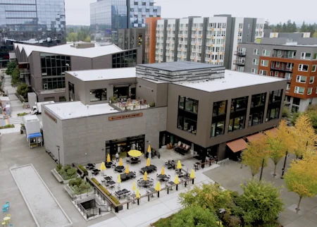 Bellevue Drone Image